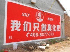 牟定刷墙广告”蕴含了时代命题