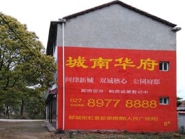 牟定百分之90的人都不了解的农村墙体广告