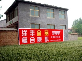 牟定如何让墙体广告展现最大化效果