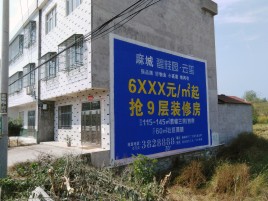 牟定墙体广告质量分析