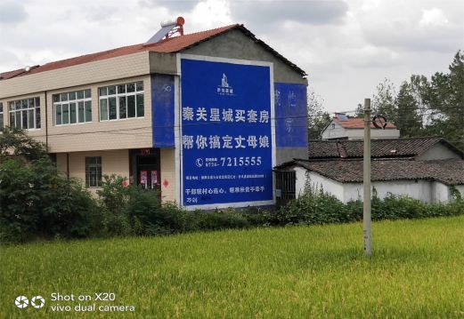 牟定决定墙体广告价格的因素有哪些?