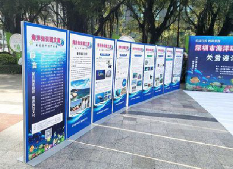 牟定KT板的种类和知识。